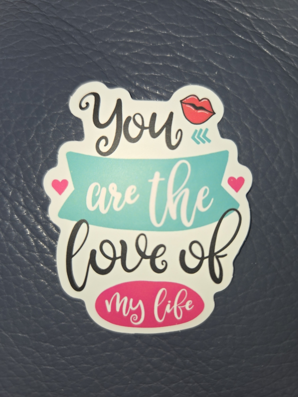 You Are The Love Of My Life Sticker - Teal and Pink